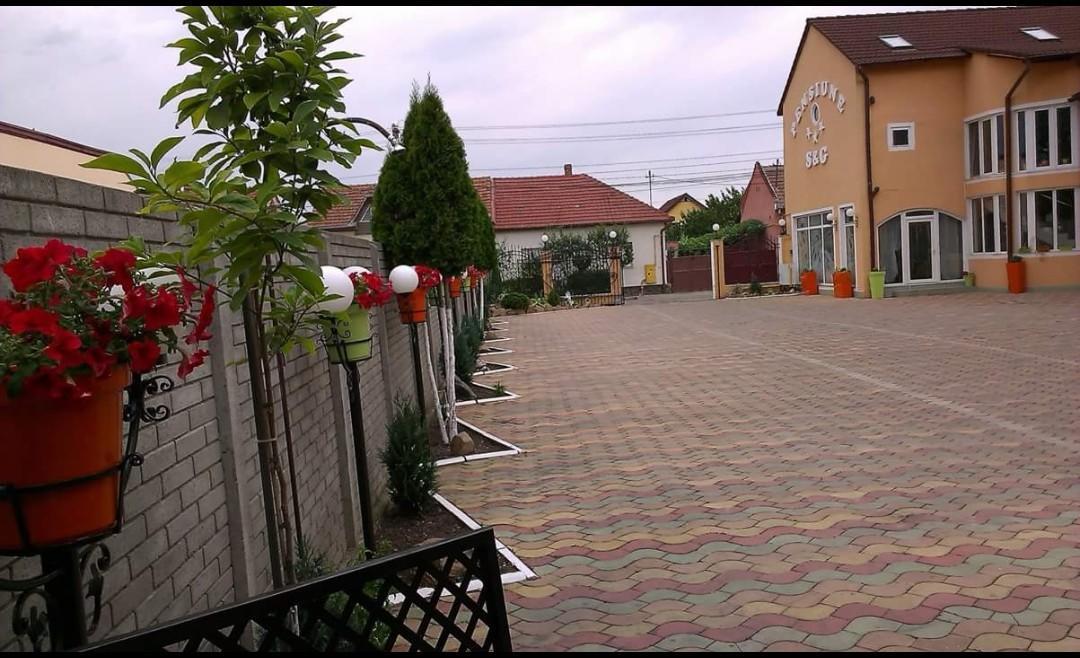Pensiunea Sergiu & Geanina Arad Exteriér fotografie